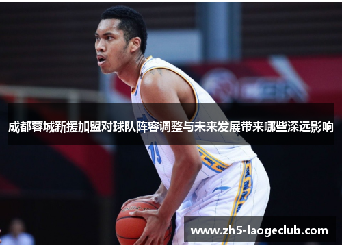 成都蓉城新援加盟对球队阵容调整与未来发展带来哪些深远影响