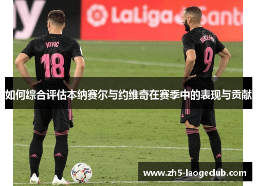 如何综合评估本纳赛尔与约维奇在赛季中的表现与贡献