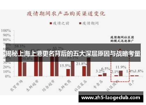 揭秘上海上港更名背后的五大深层原因与战略考量
