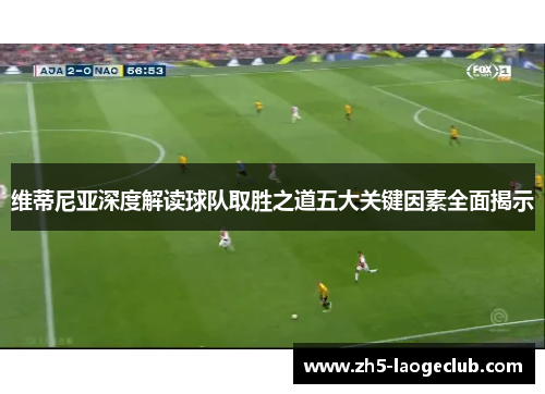 维蒂尼亚深度解读球队取胜之道五大关键因素全面揭示